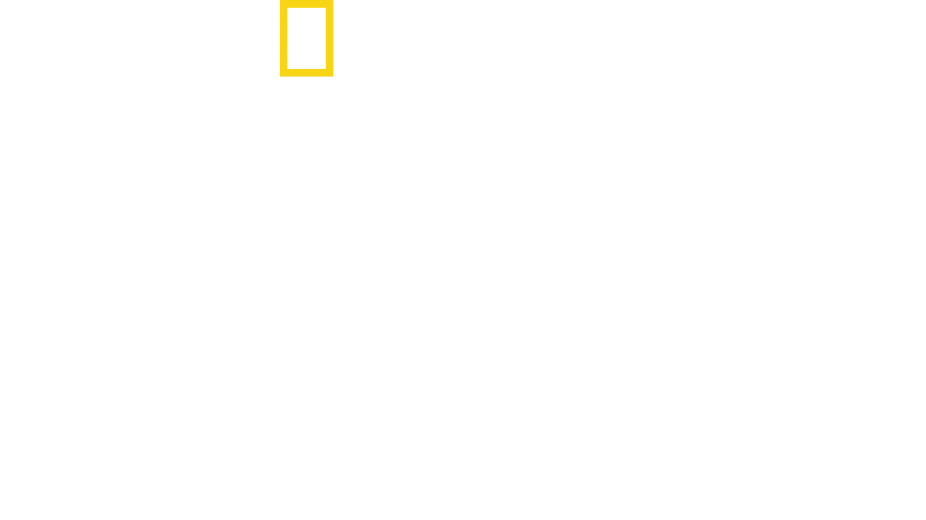 Wächter des Alten Ägypten