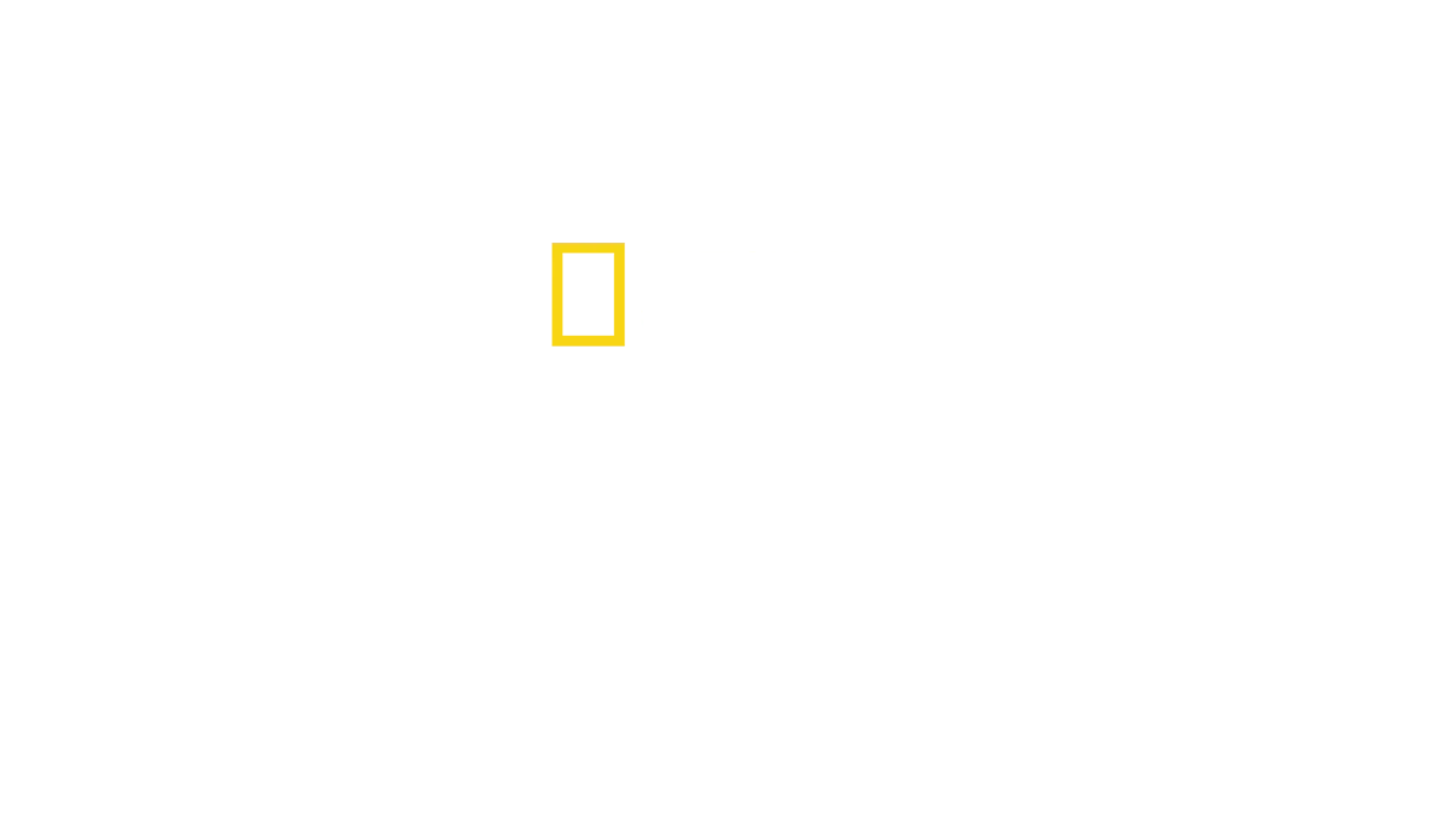 Egypts skattevoktere