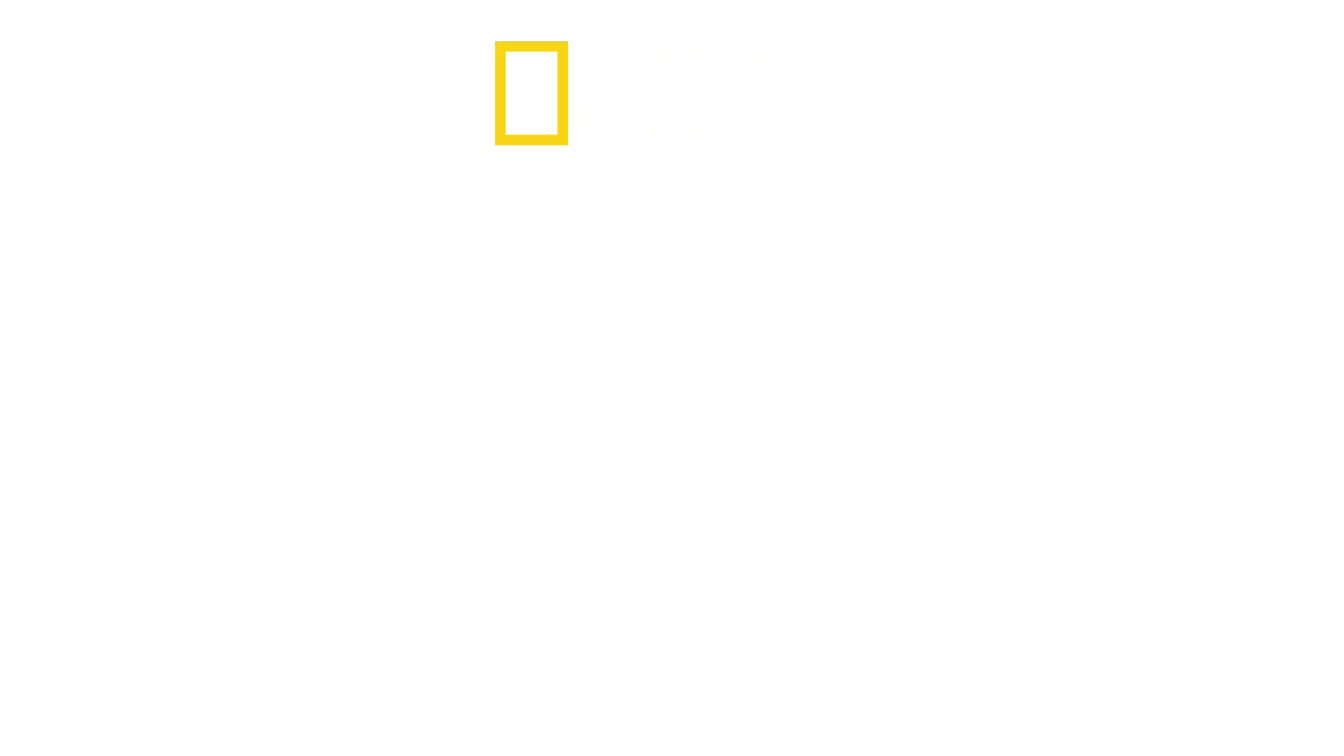Beskyddare av Egyptens skatter
