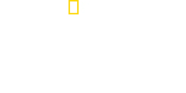 Beskyddare av Egyptens skatter