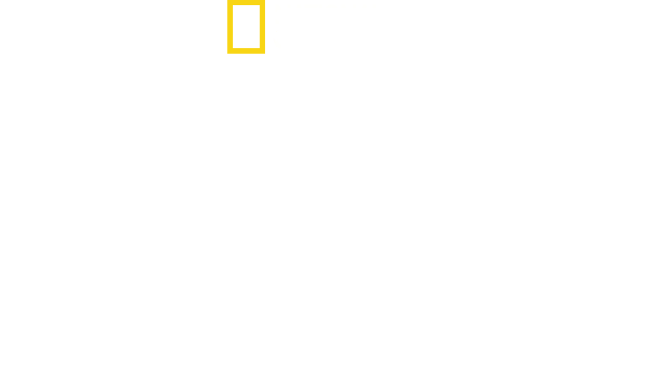 Egyptin aarteiden vartijat