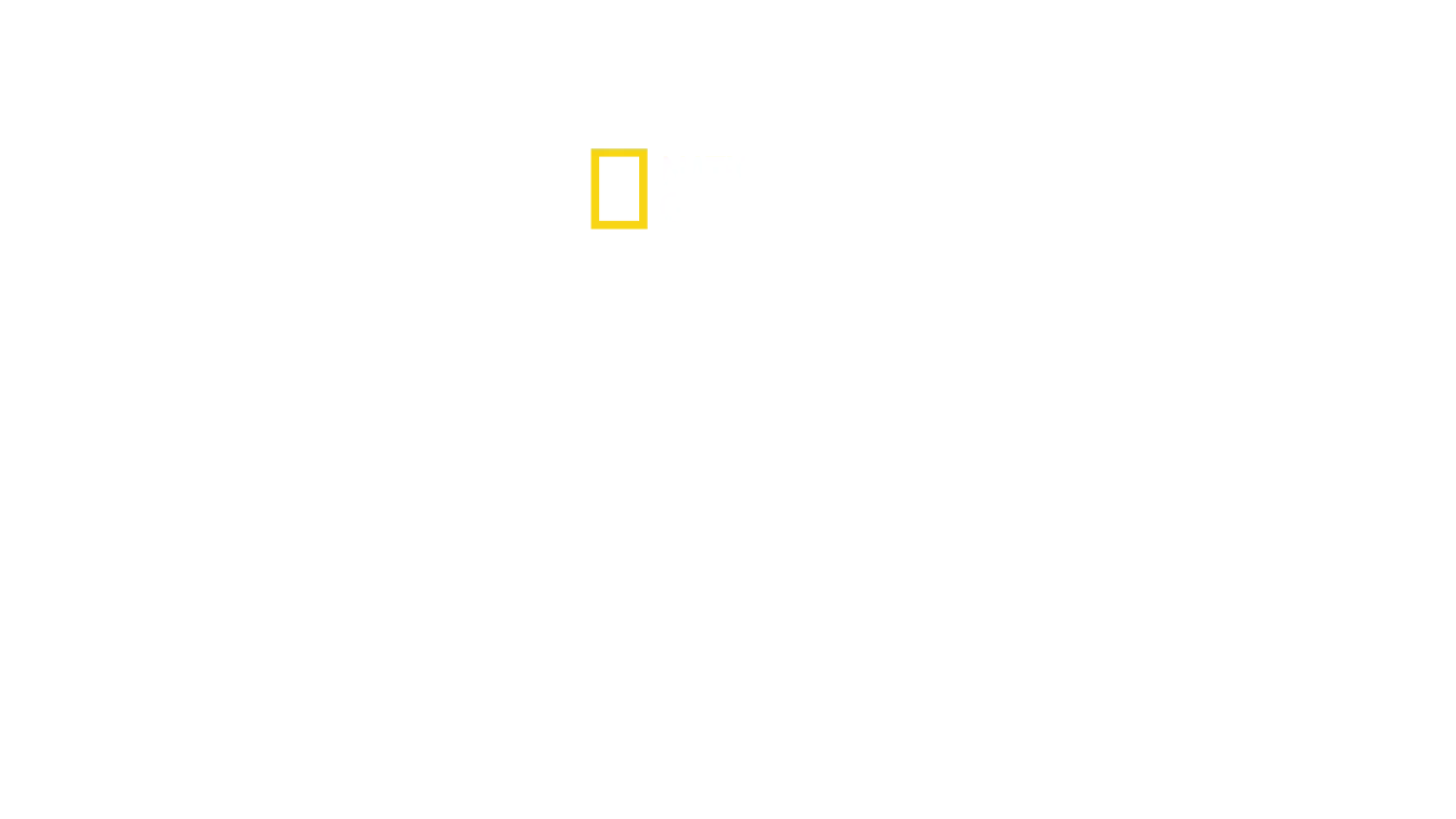 Los guardianes del Tesoro de Egipto
