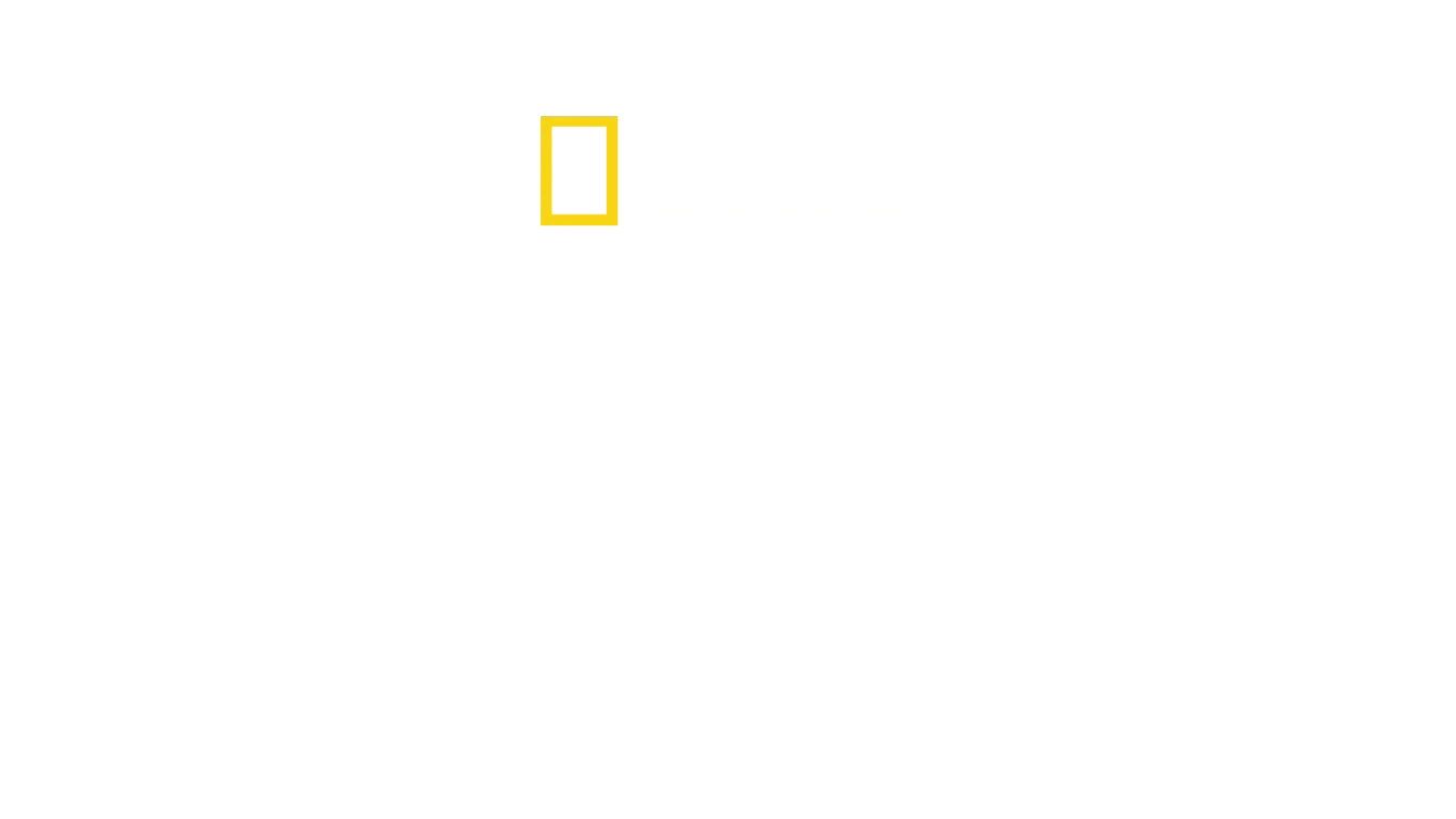 I guardiani d'Egitto