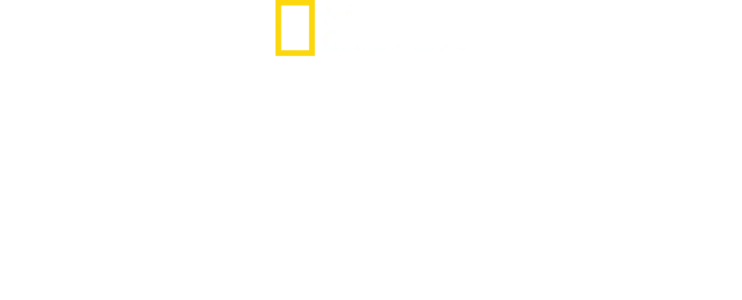 I guardiani d'Egitto