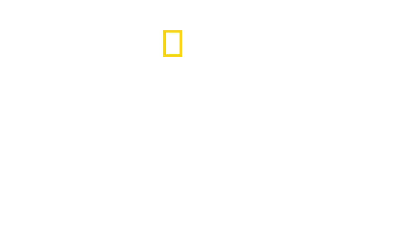 Os guardiães do tesouro do Egipto