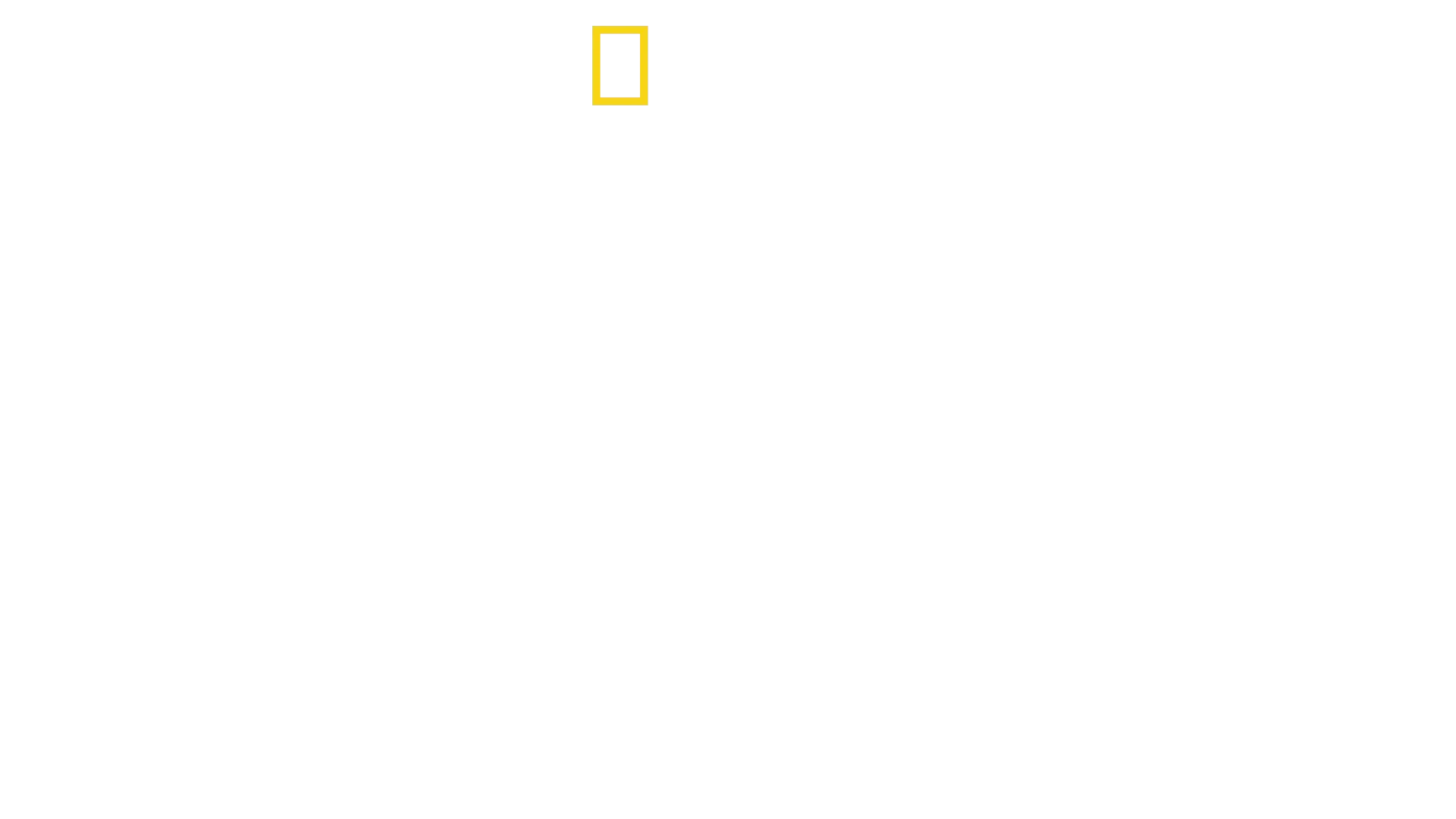 Trésors d'Egypte