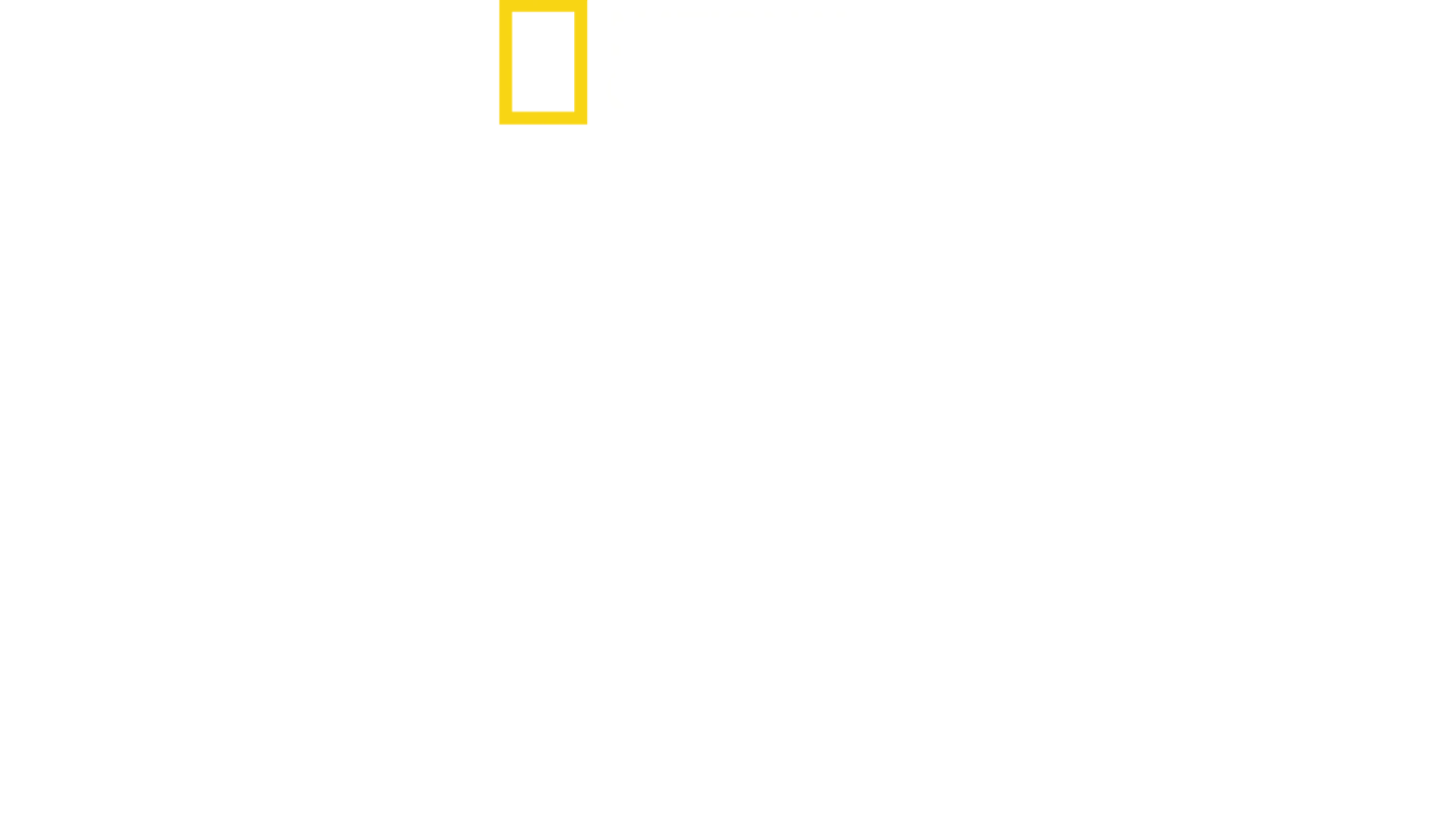 Vogterne af Egyptens skatte