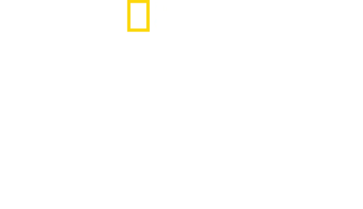 Vogterne af Egyptens skatte