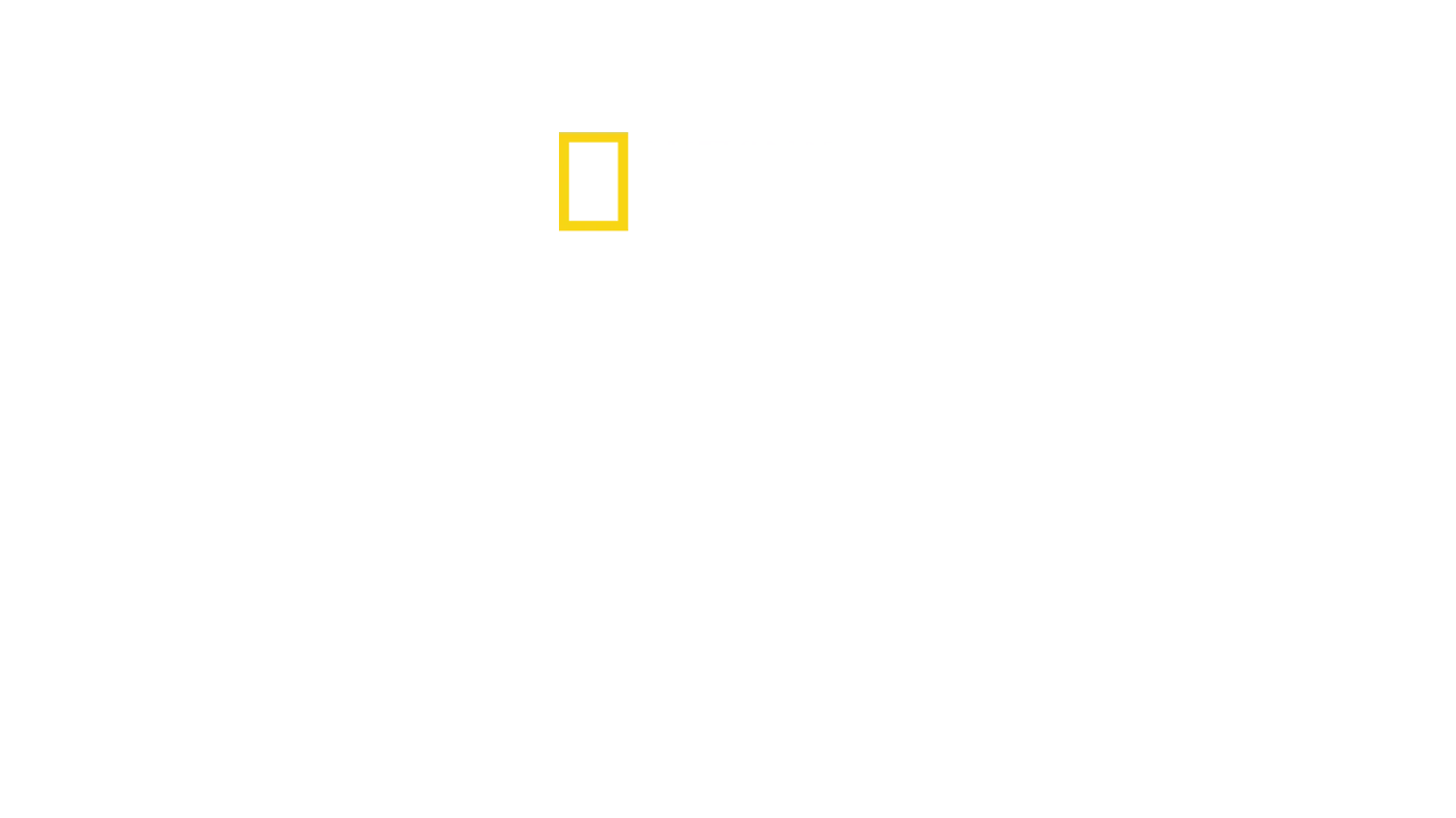 Los Guardianes de Egipto