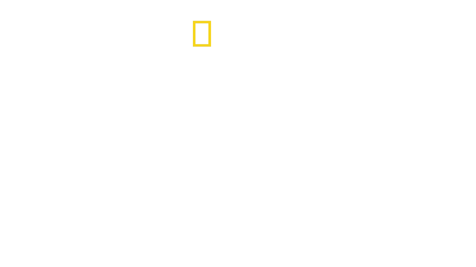 Chinas Geschichte von oben
