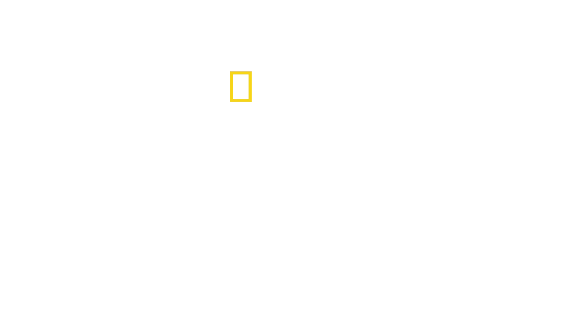 Tutkimusretki Everestille