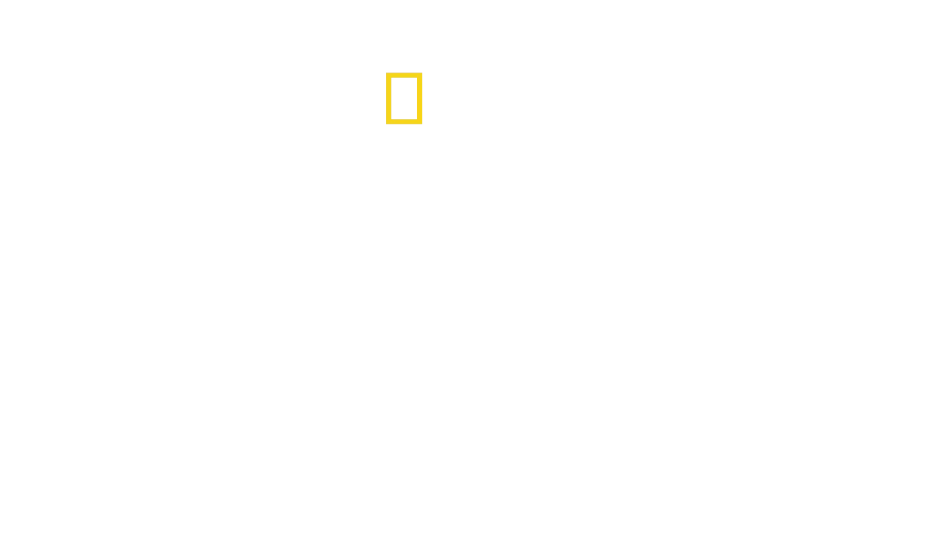 Expedição no Everest