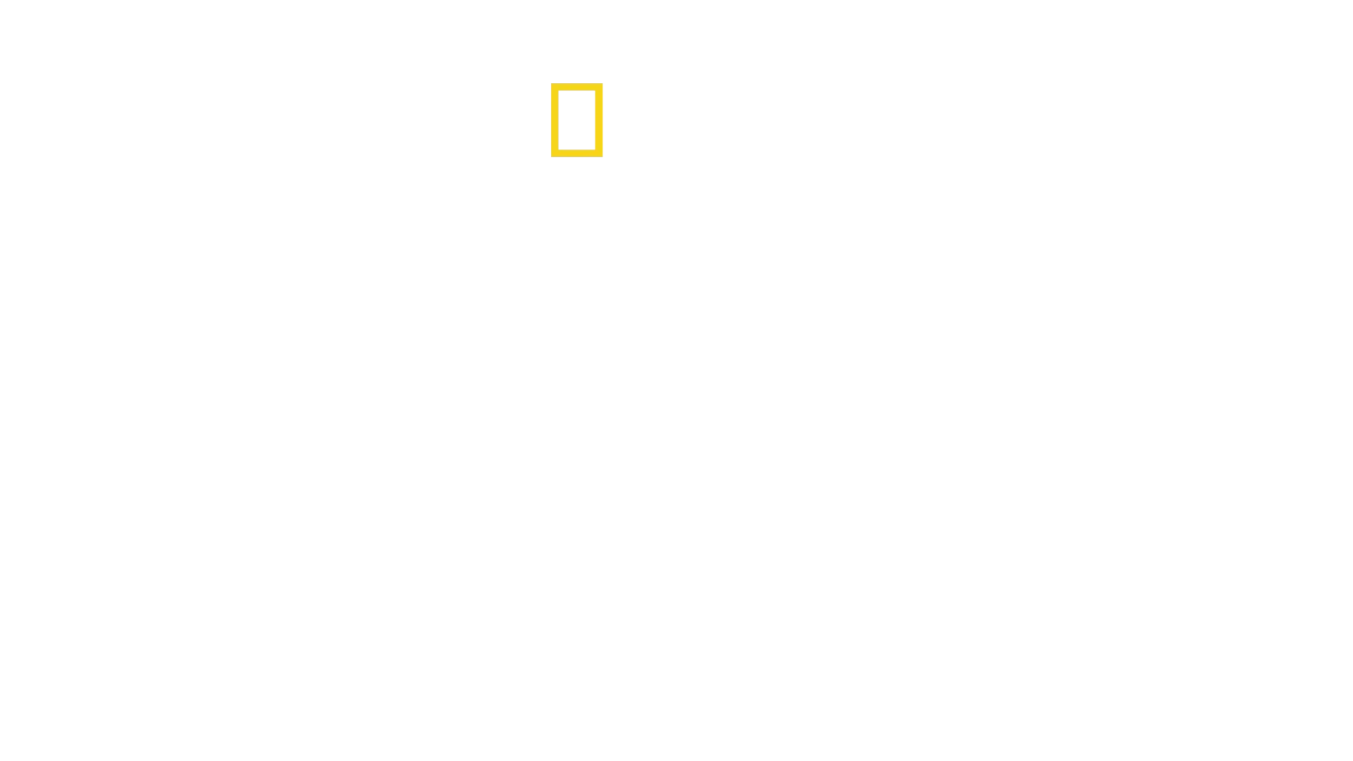Expédition Everest