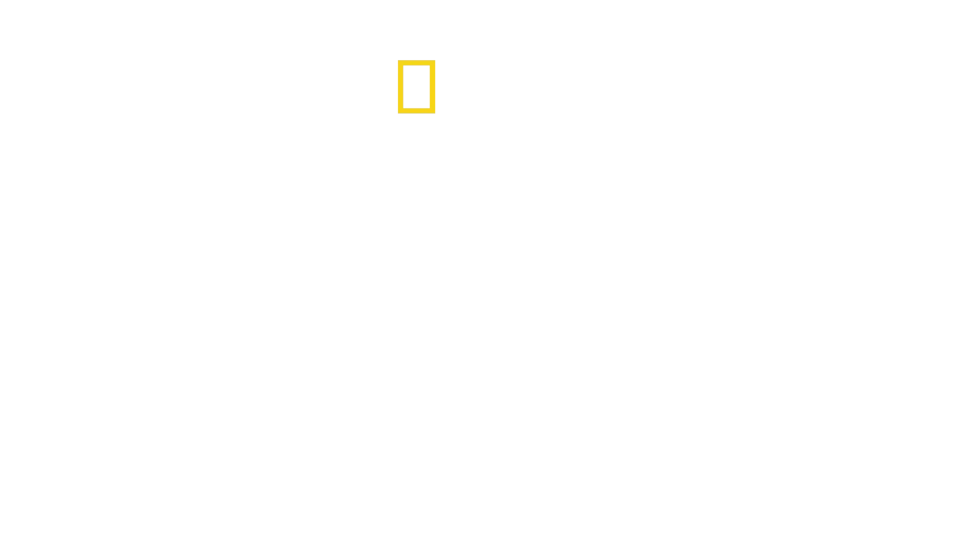 Expedición Everest