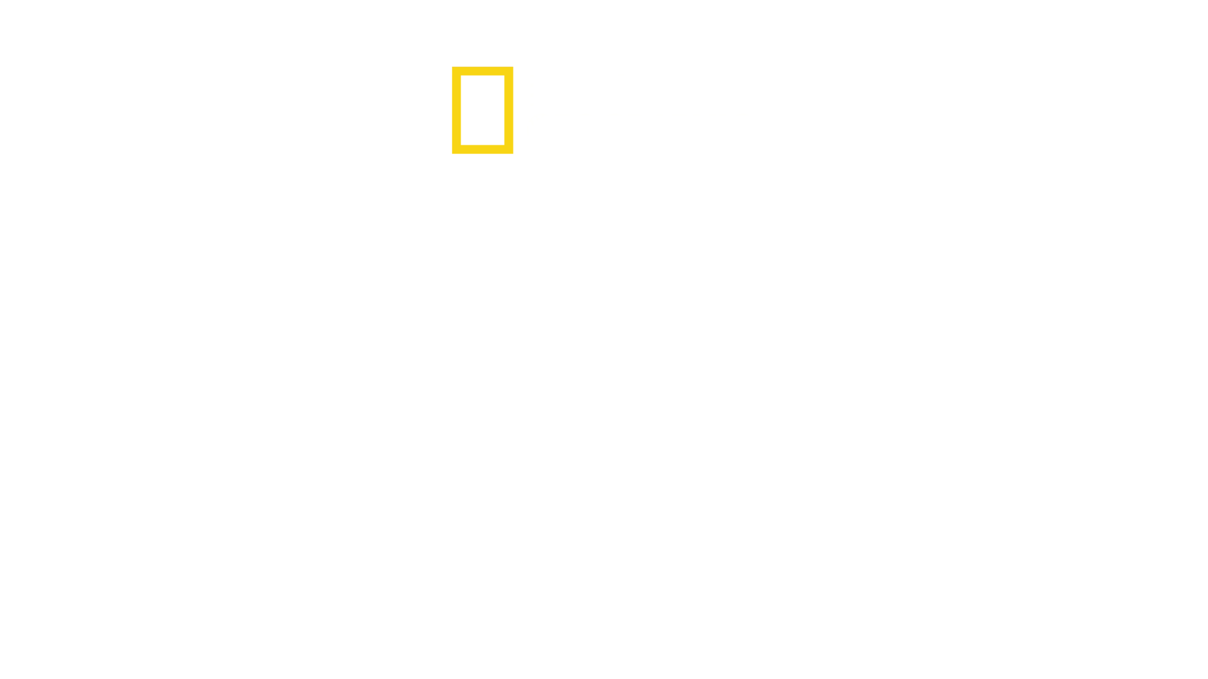 Everest Keşif Gezisi