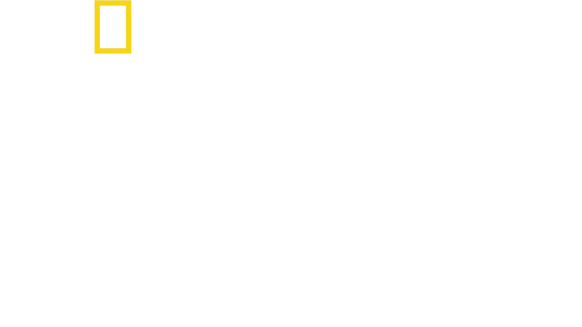 Dr. T, Lone Star Vet