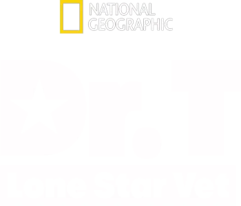 Dr. T, Lone Star Vet