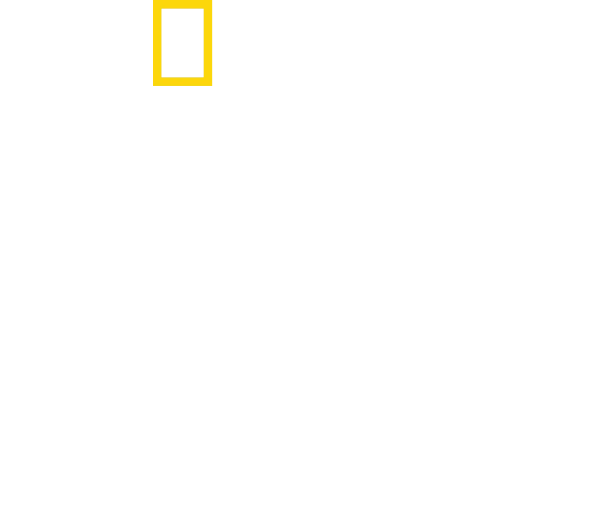 Dr. T, Lone Star Vet