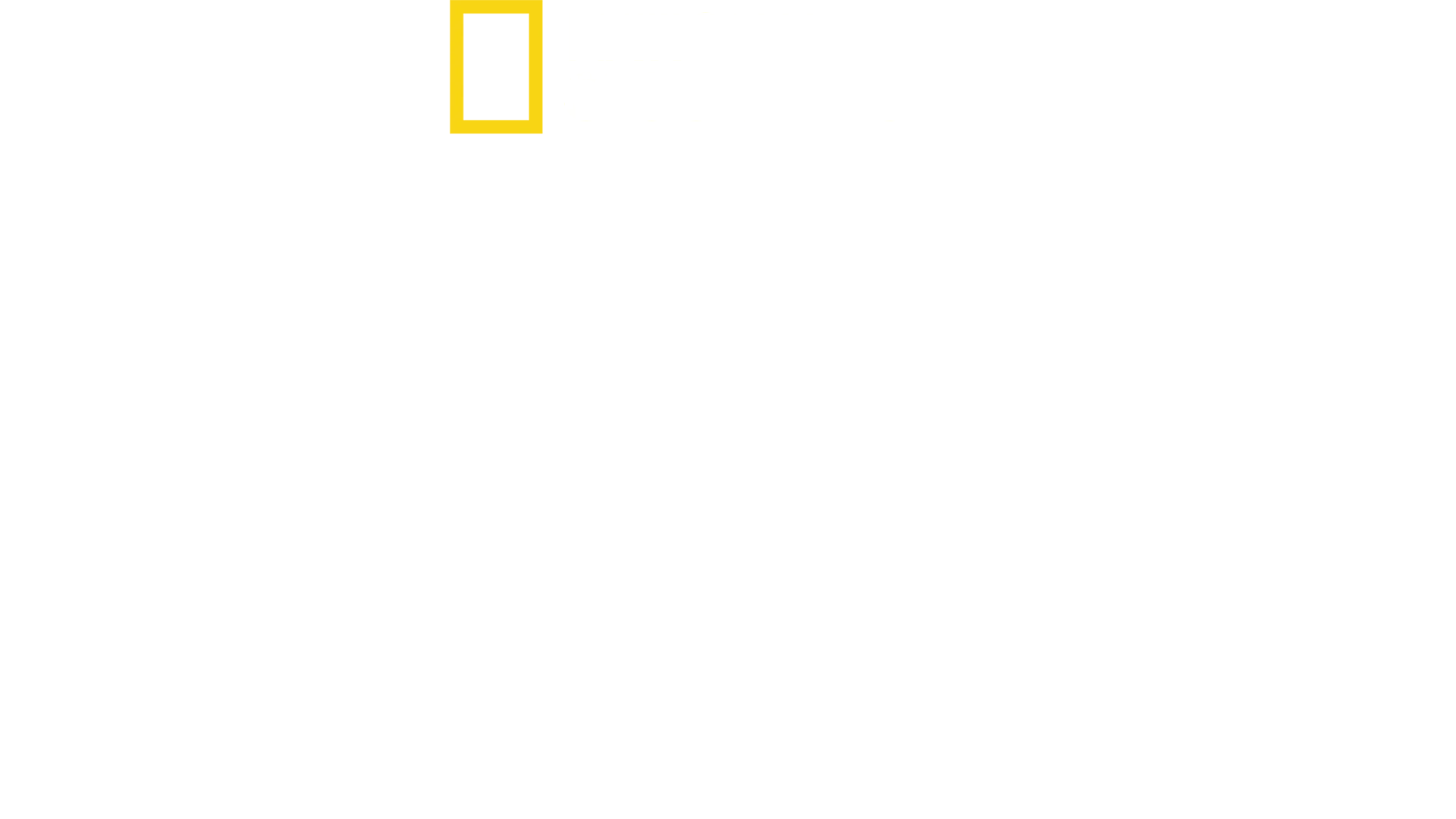 Dra. T: Clínica de Animais Exóticos