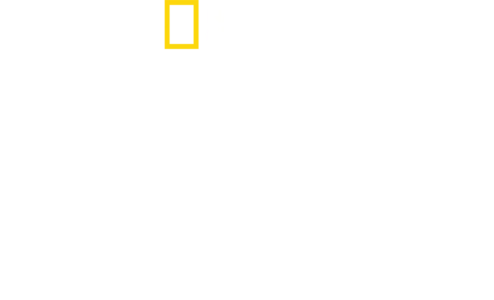 Dra. T: Clínica de Animais Exóticos