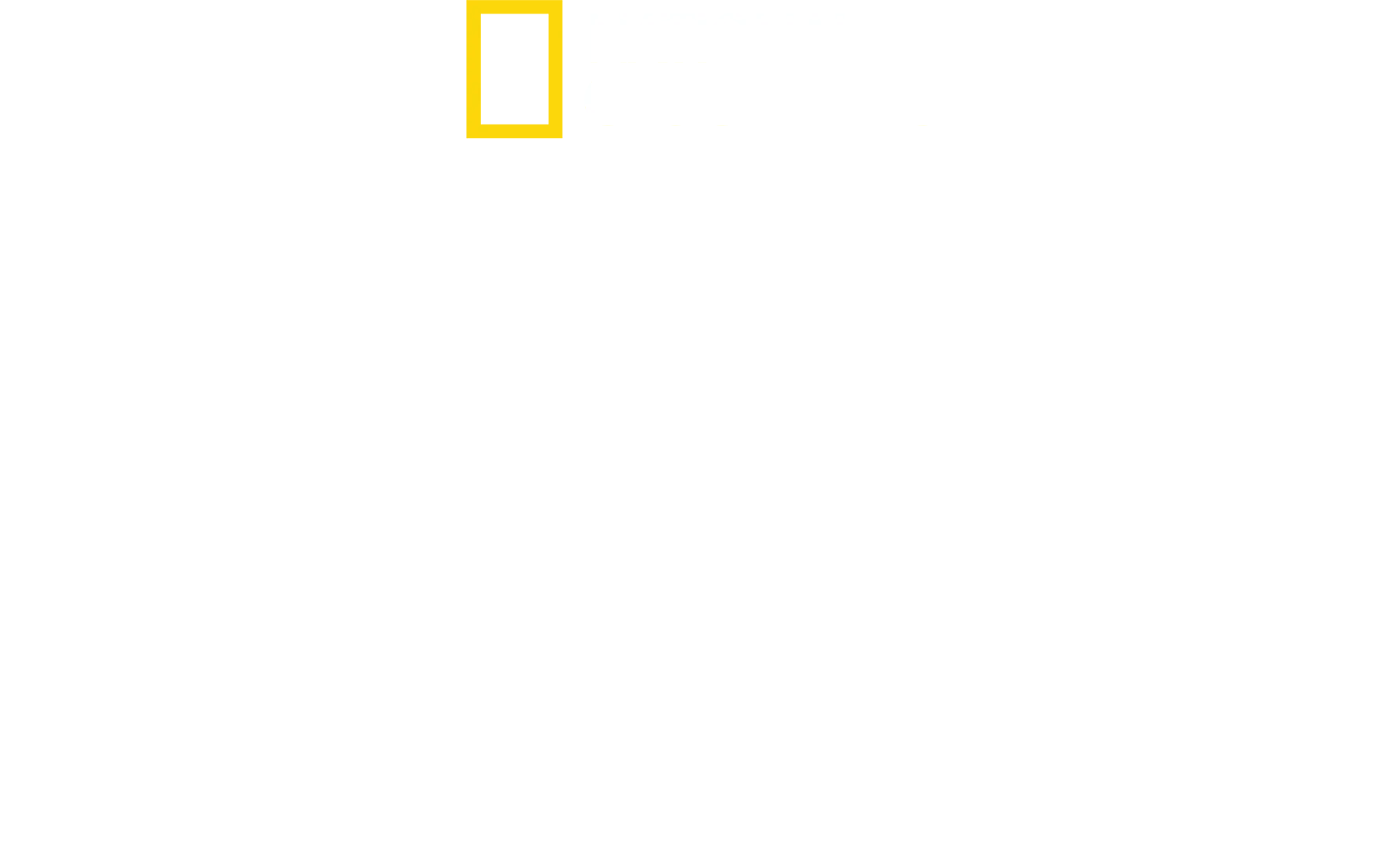 Dra. T: Clínica de Animais Exóticos