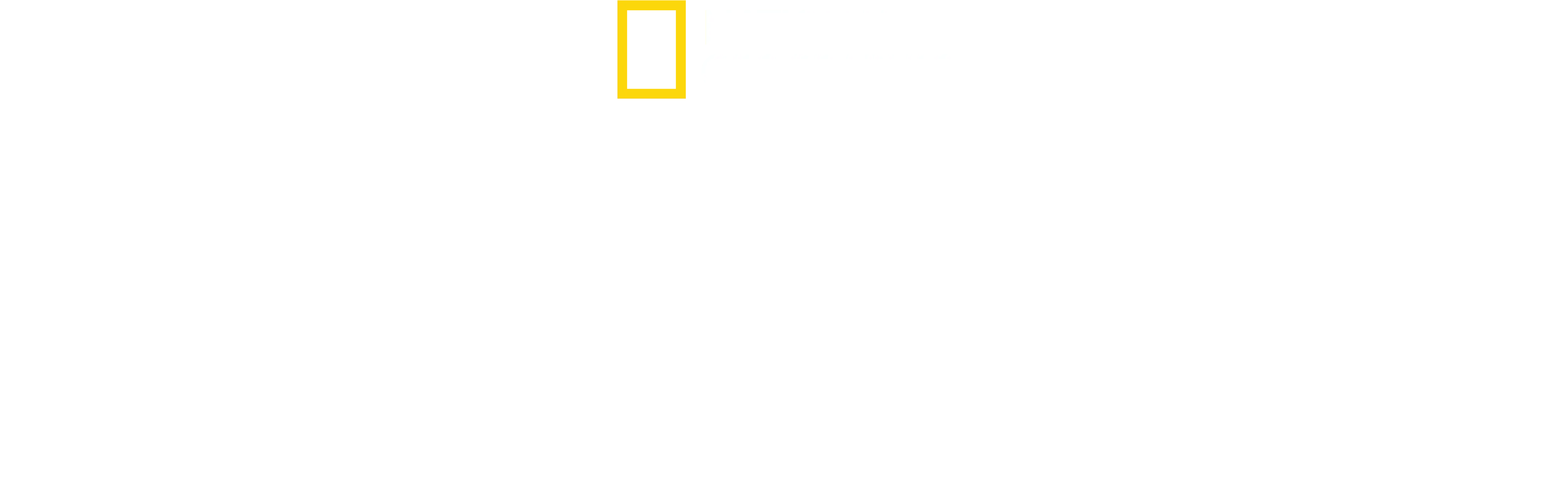 Tajemství chobotnic