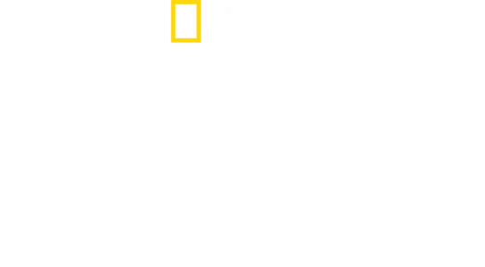 金字塔消失的墳墓
