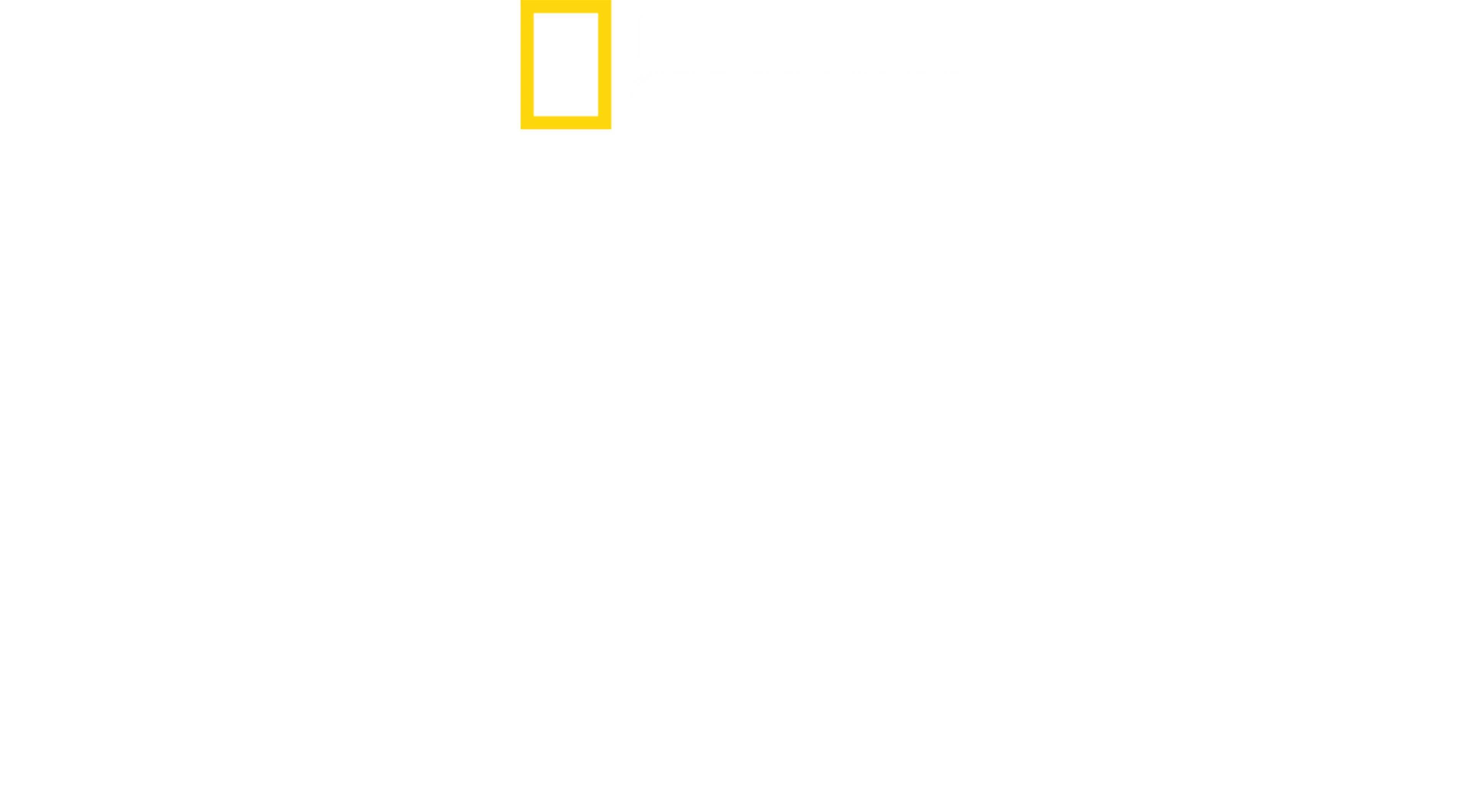 金字塔消失的墳墓
