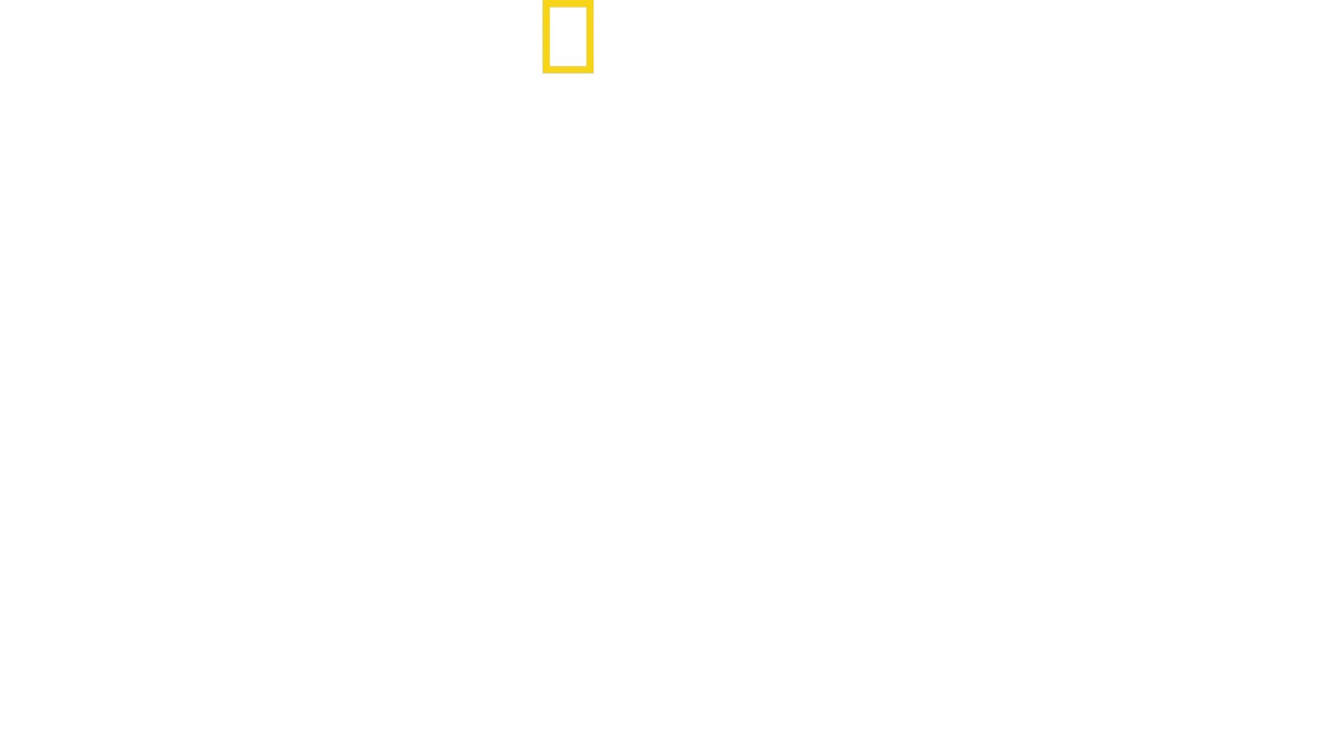 Dans l’ombre des pyramides