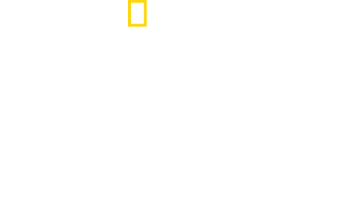 発掘！砂漠に眠るファラオの謎