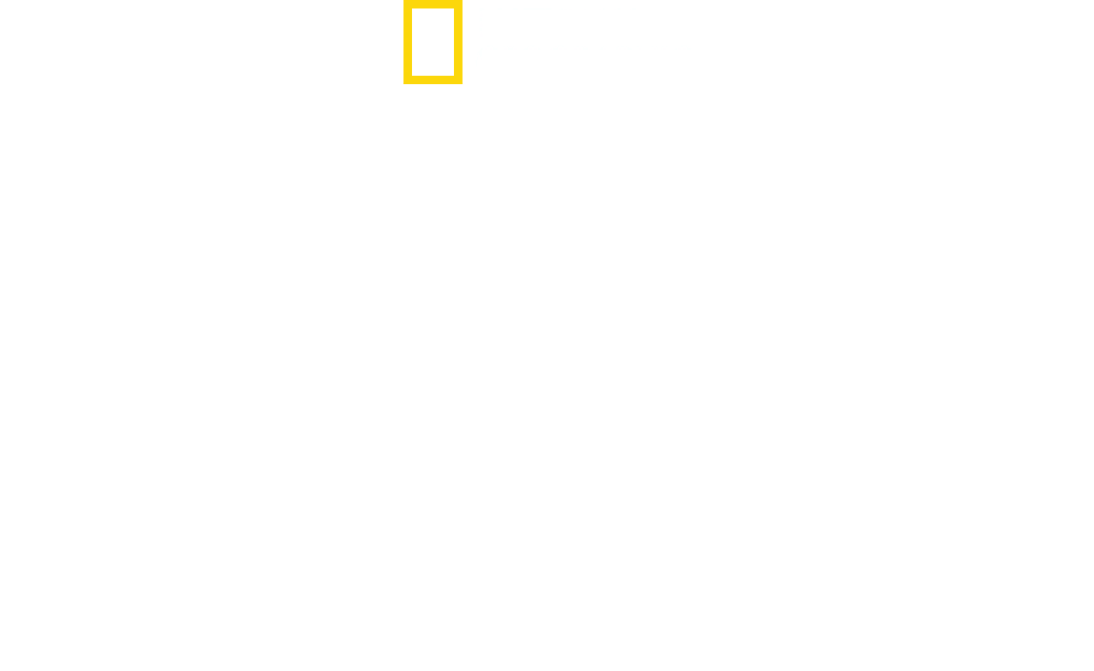 発掘！砂漠に眠るファラオの謎