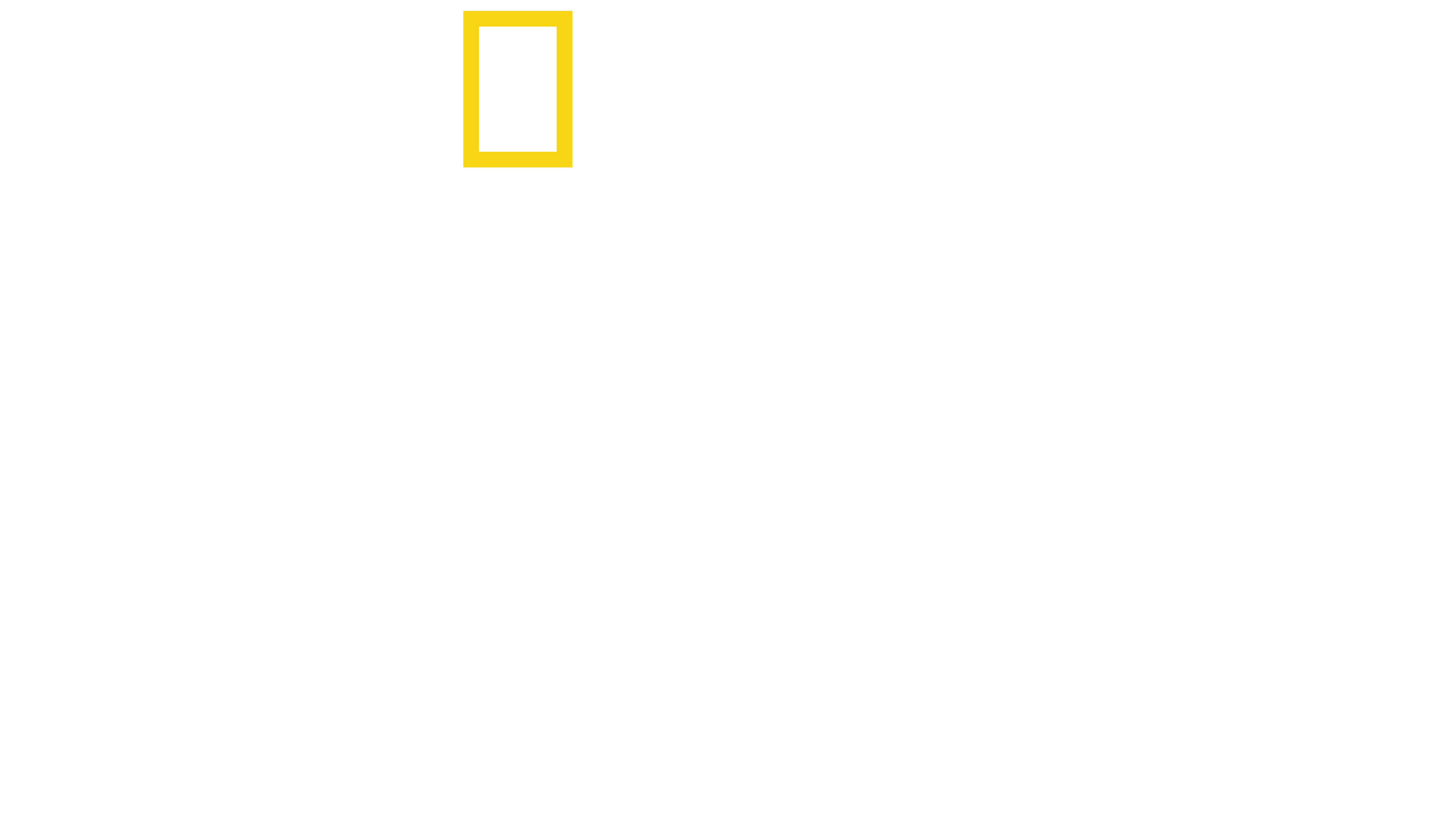 A polipok titkai