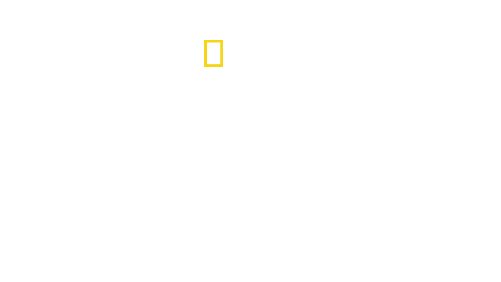 Kingdom of the Polar Bears