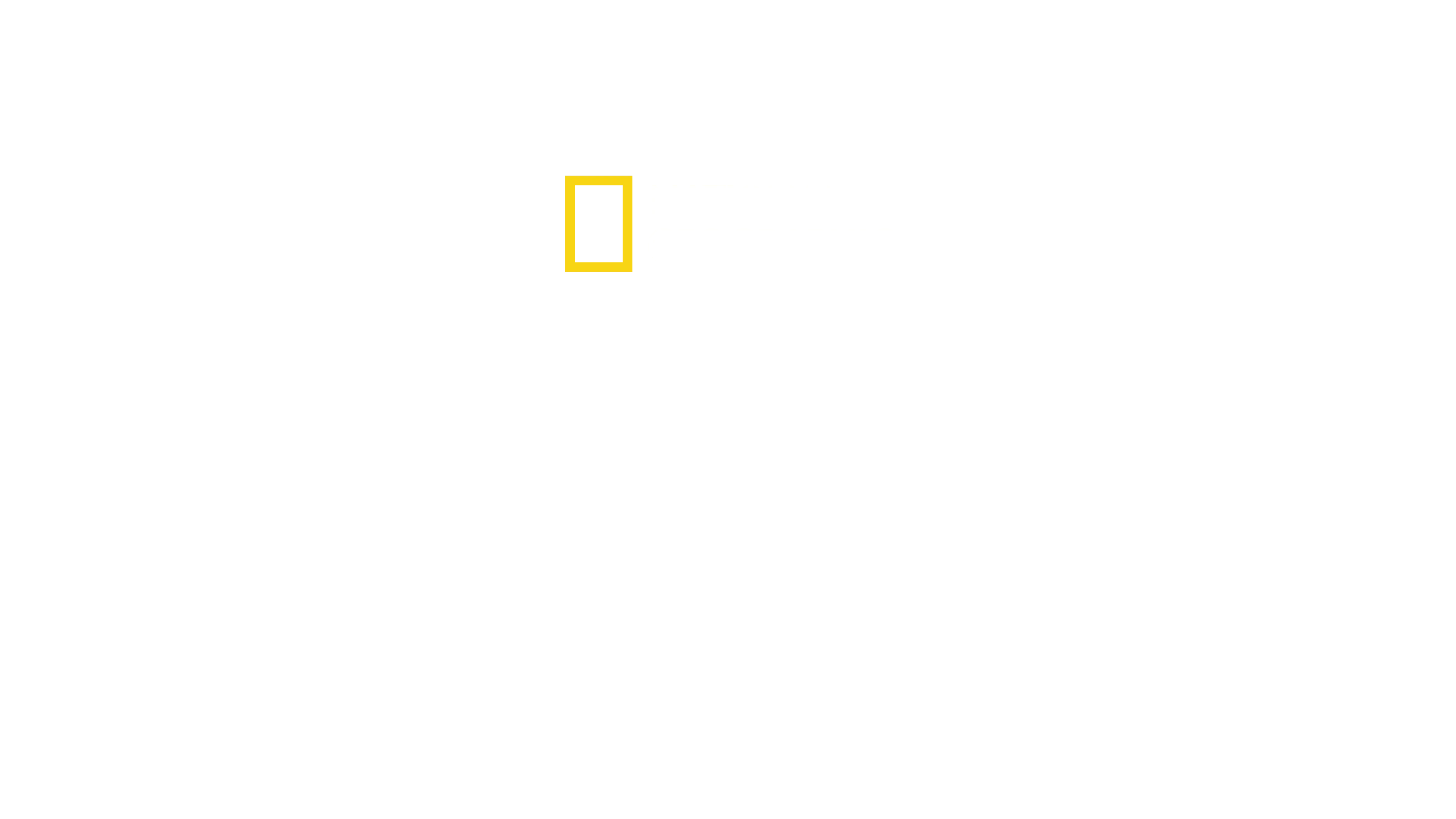 Μυστικά των Χταποδιών