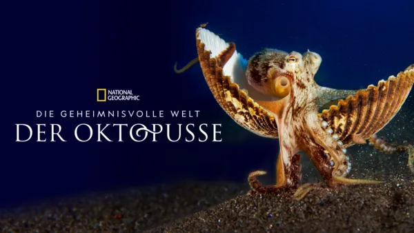 thumbnail - Die geheimnisvolle Welt der Oktopusse