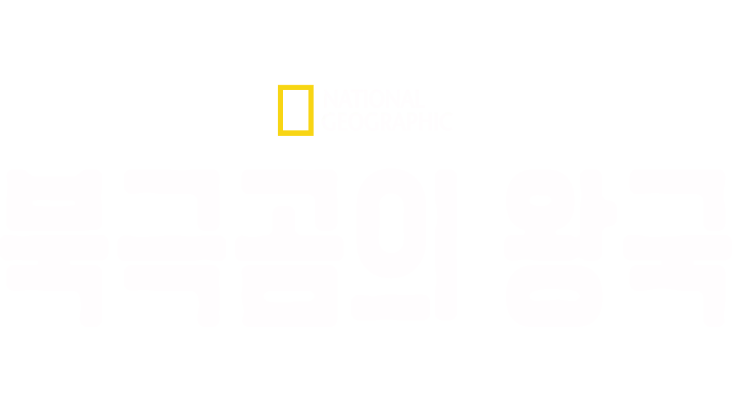북극곰의 왕국