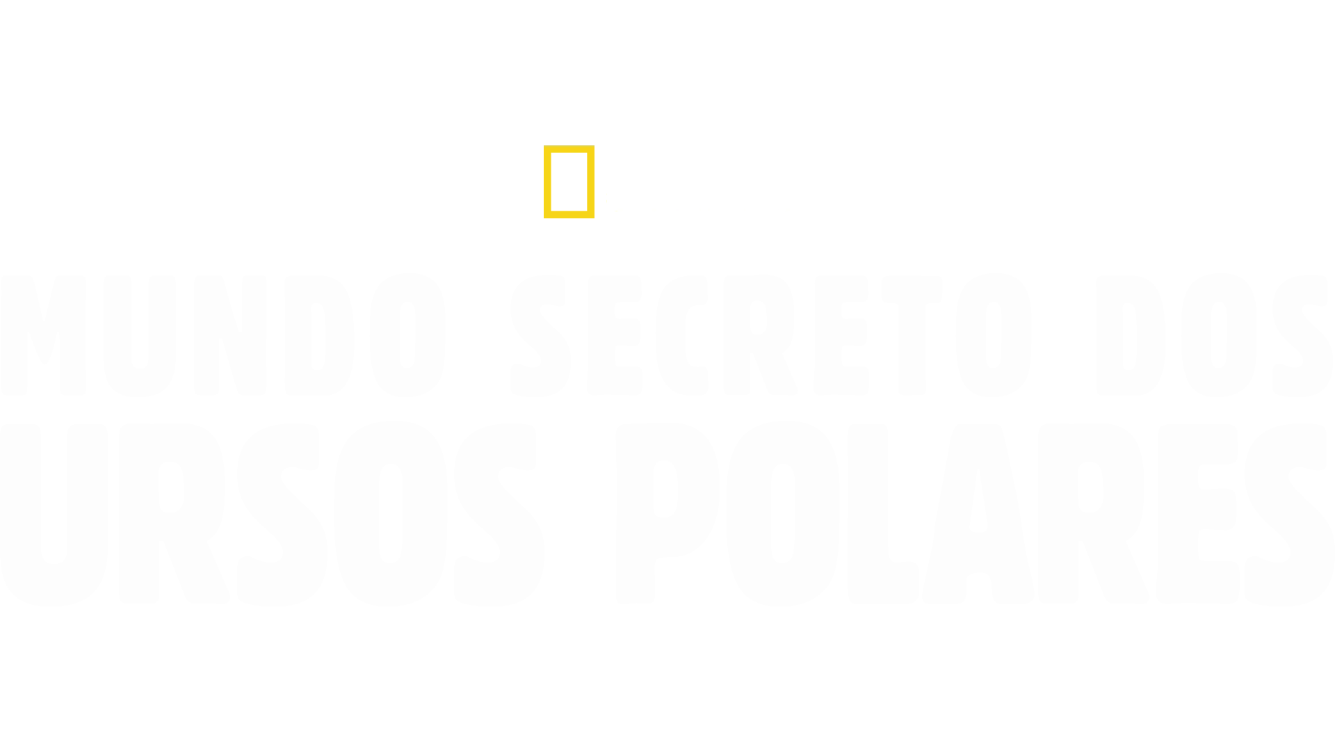 Mundo Secreto dos Ursos Polares