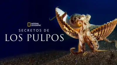 Secretos de los pulpos