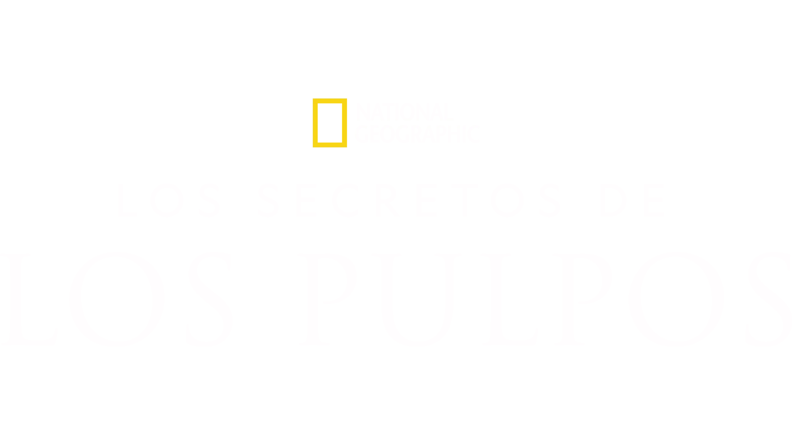 Los secretos de los pulpos