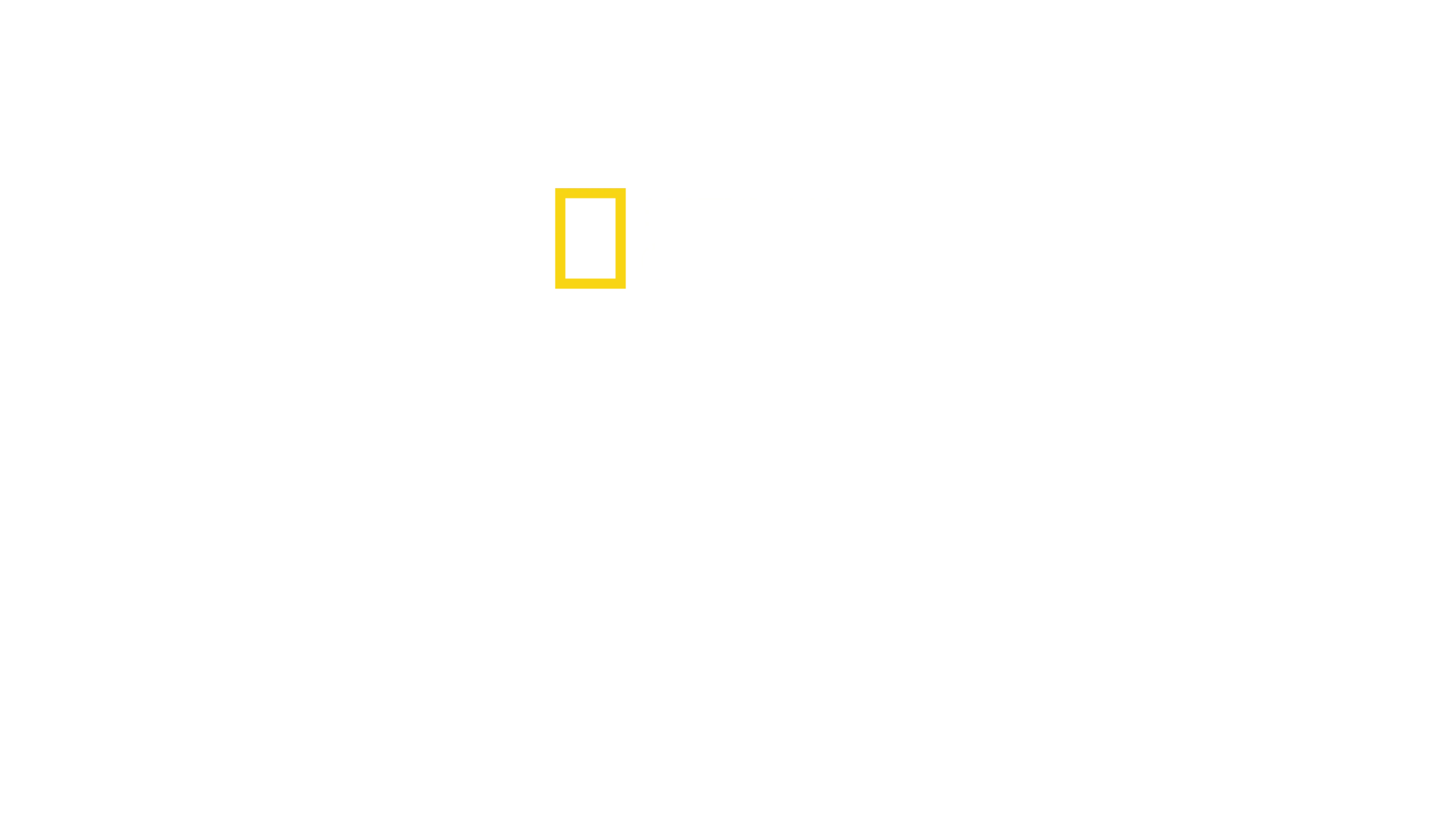 北极熊王国