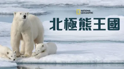 北極熊王國