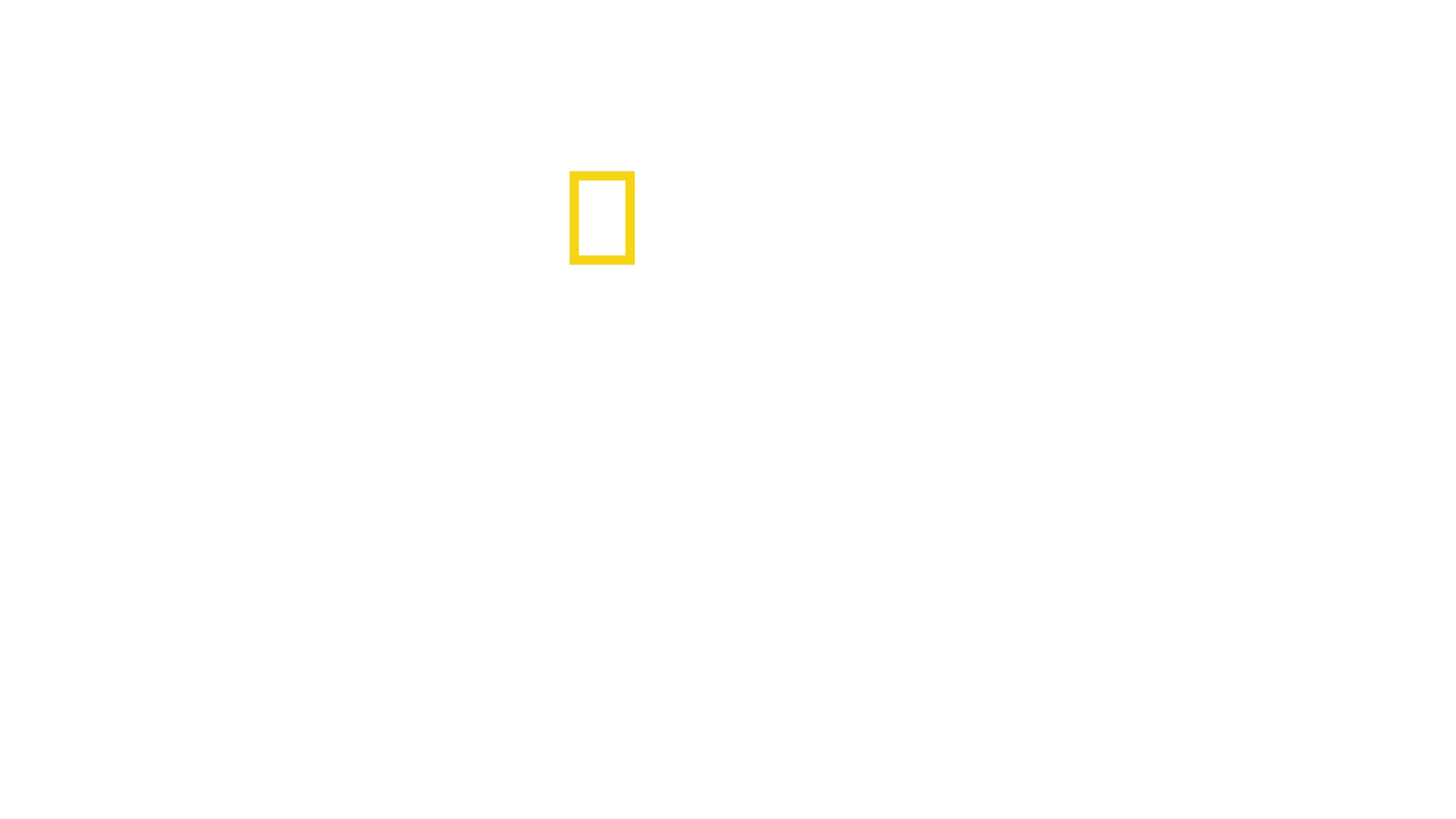 Les secrets de la pieuvre