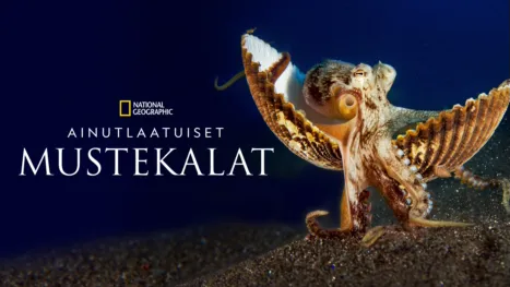 thumbnail - Ainutlaatuiset mustekalat