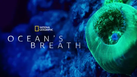 thumbnail - Ocean's Breath