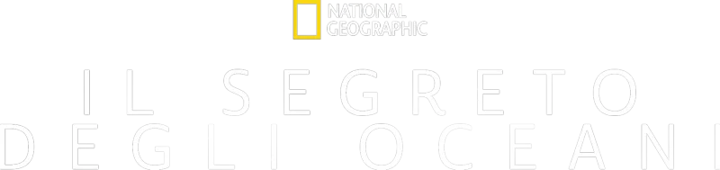 Il segreto degli oceani
