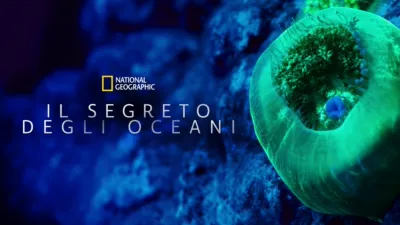 Il segreto degli oceani
