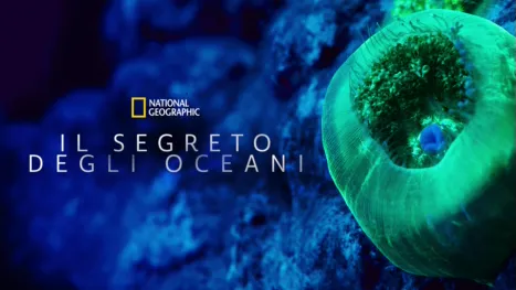 thumbnail - Il segreto degli oceani