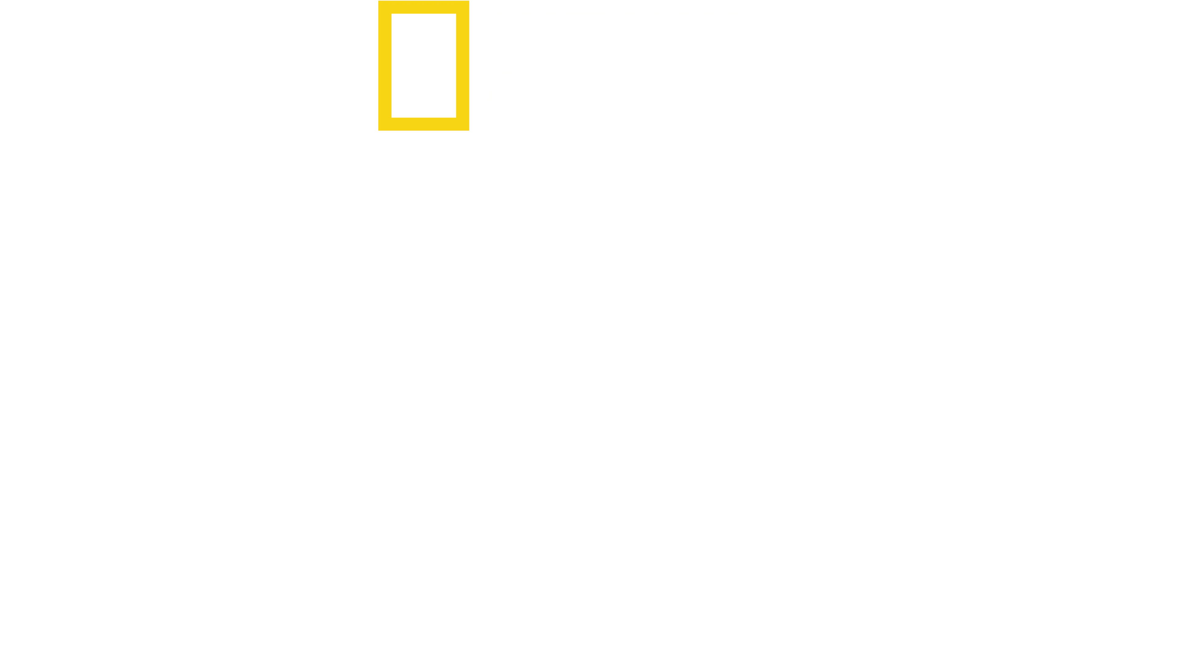 I Segreti del Polpo