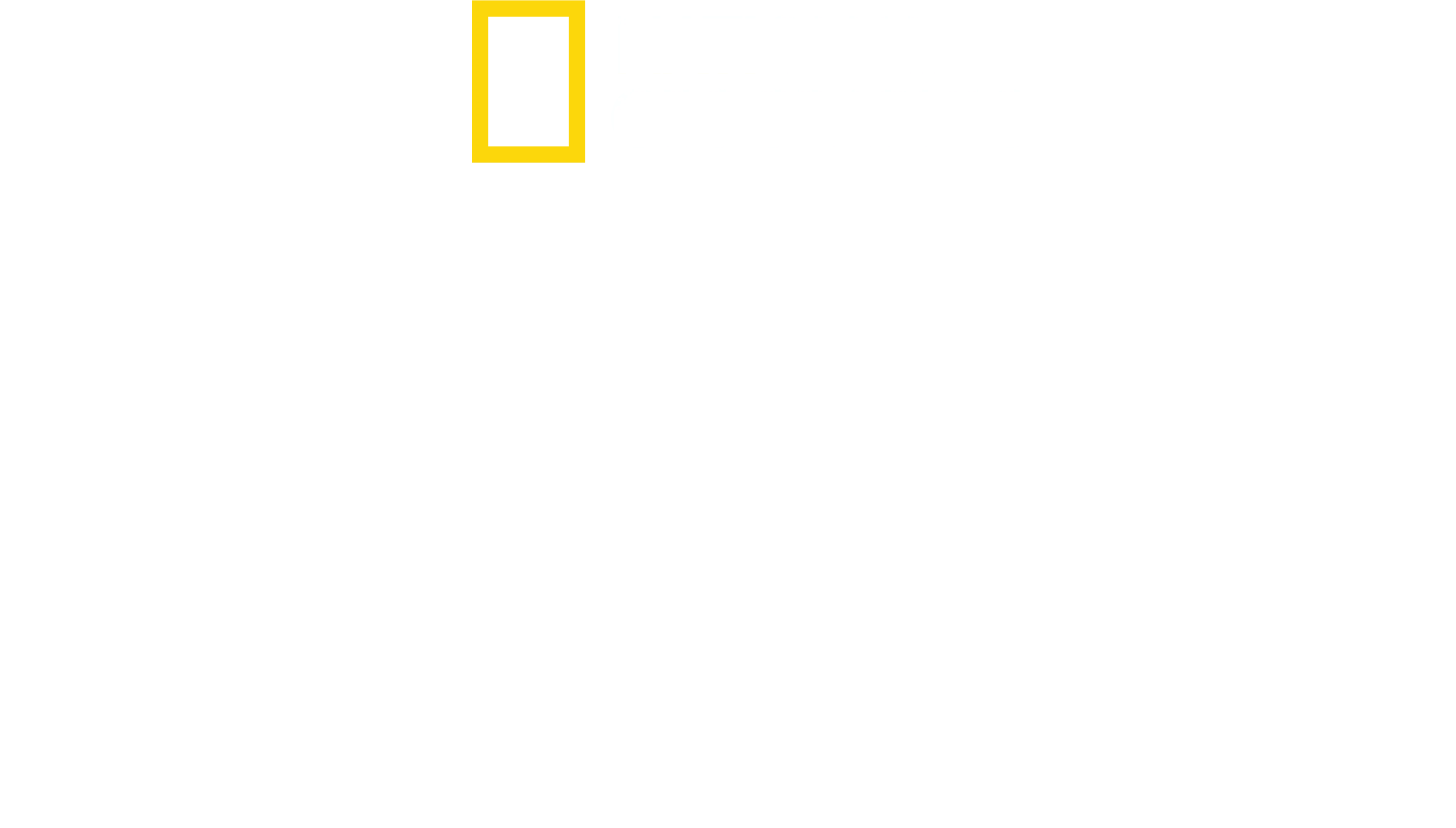 I Segreti del Polpo