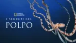 thumbnail - I Segreti del Polpo